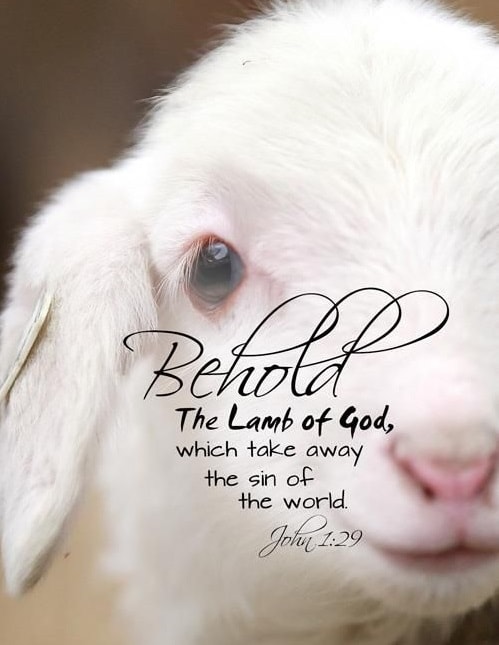 246267-Behold-The-Lamb-Of-God-Which-Take-Away-The-Sin-Of-The-World